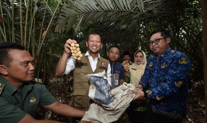 
 Meski Pangsa Pasar Bagus, Pemkab Pasuruan Intens Populerkan Branding Duku Rejoso Ke Khalayak