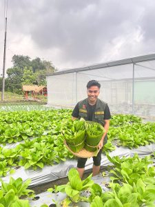 Jabungan Ecofarm 